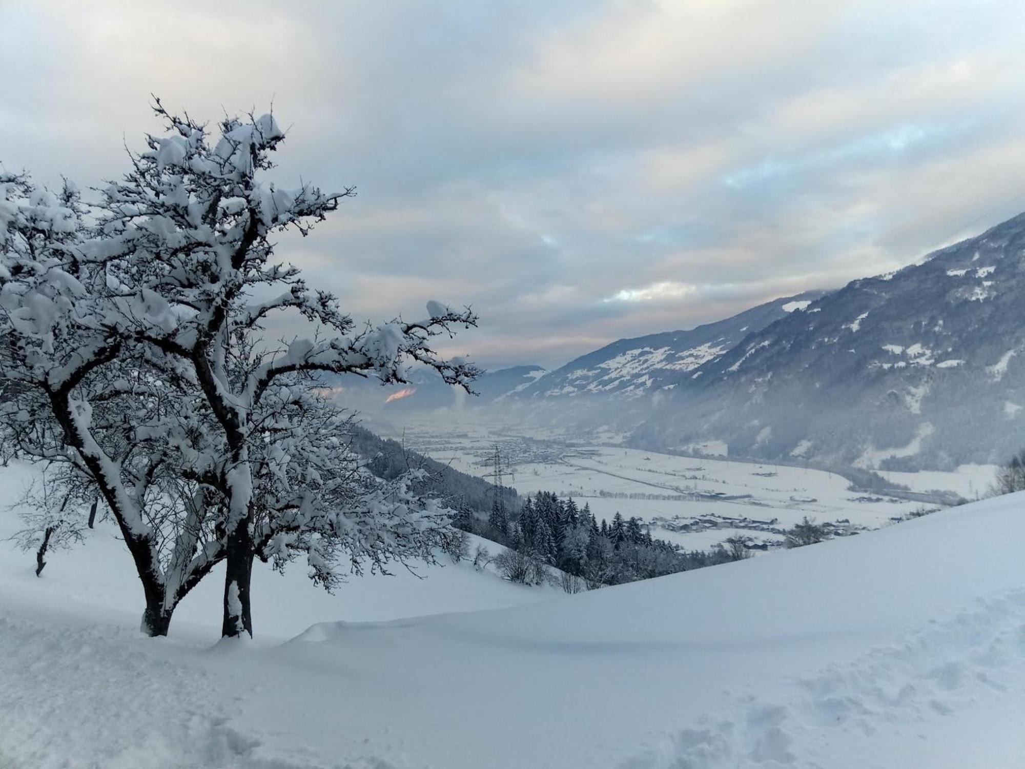 Wieshof Kaltenbach Esterno foto