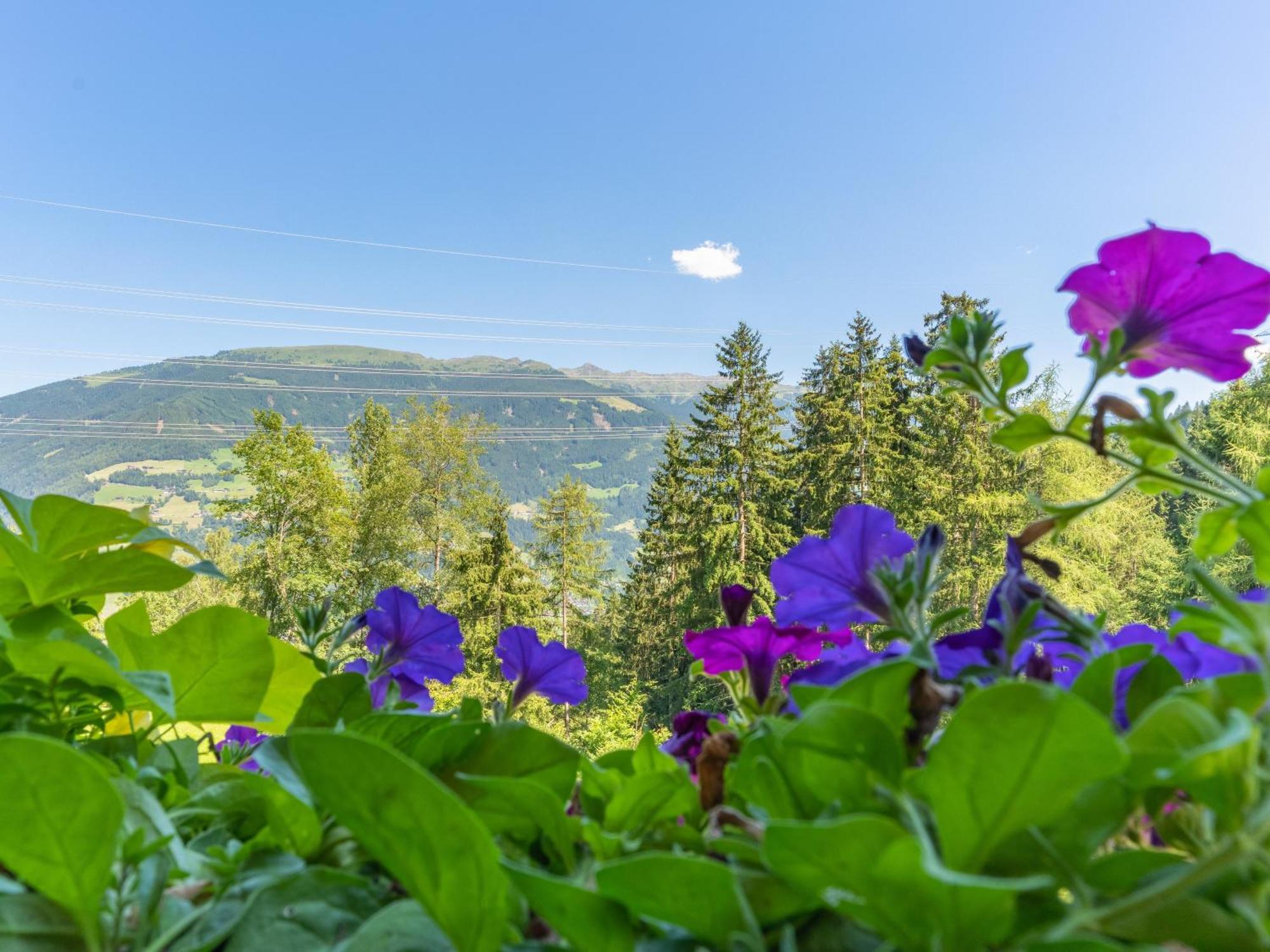 Wieshof Kaltenbach Camera foto